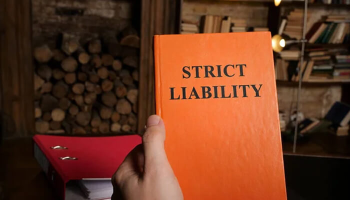 Understanding strict liability | tycoonstory media Understanding strict liability