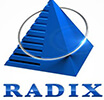 Radixweb | tycoonstory media Radixweb