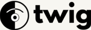 Twig | tycoonstory media Twig