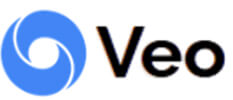Google veo | tycoonstory media Google veo