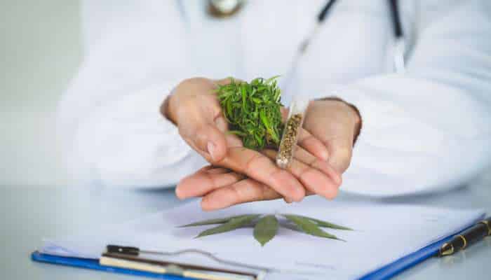 7 best telehealth marijuana doctors 1 | tycoonstory media Telehealth marijuana doctors providing online medical guidance with cannabis-based treatment consultation and healthcare support.