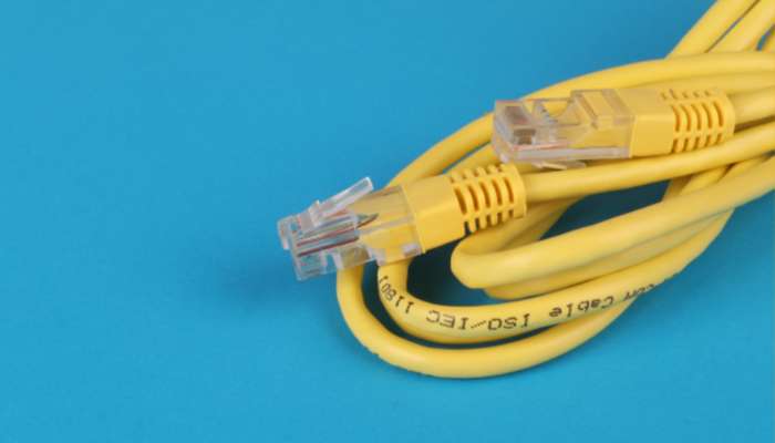 7 outdoor extension cord storage ideas for safer power management 1 | tycoonstory media Two yellow ethernet cables with rj45 connectors on a blue background, ready for network connection.
