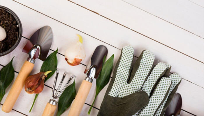 A quality garden tool kit - tycoonstory | tycoonstory media Set of gardening tools with wooden handles and a pair of dotted gloves on a white wooden surface, with onion bulbs and green leaves nearby.