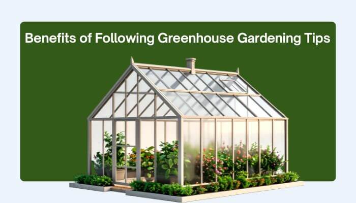Benefits of following greenhouse gardening tips | tycoonstory media Benefits of greenhouse gardening tips illustrated with a home greenhouse supporting year-round plant growth and improved harvests.