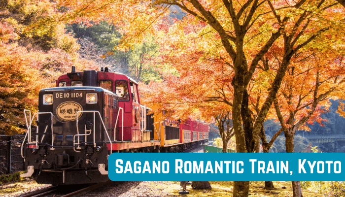 Autumn leaves japan - tycoonstory | tycoonstory media Sagano romantic train passes through vibrant autumn leaves japan in kyoto, showcasing colorful fall scenery.
