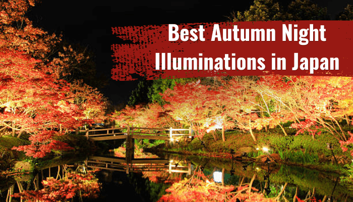 Autumn leaves japan - tycoonstory | tycoonstory media Nighttime view of autumn leaves japan illuminated in gardens, reflecting vibrant fall colors over water.