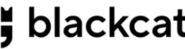 Blackcat — best multi-currency wallet with card for european users | tycoonstory media Blackcat — best multi-currency wallet with card for european users