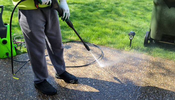 Pest deterrence | tycoonstory media Pest deterrence