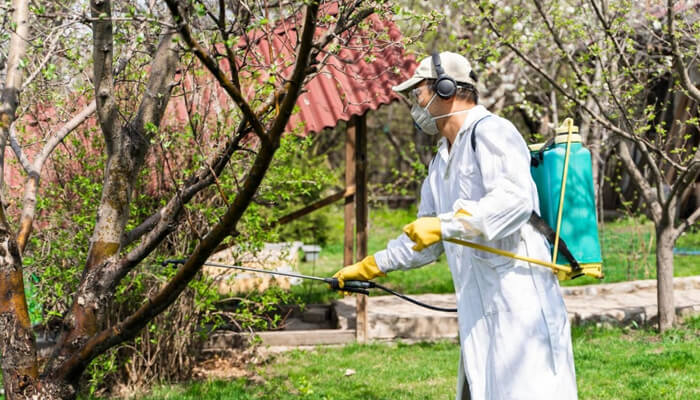 Spring brings increased pest activity | tycoonstory media Spring brings increased pest activity