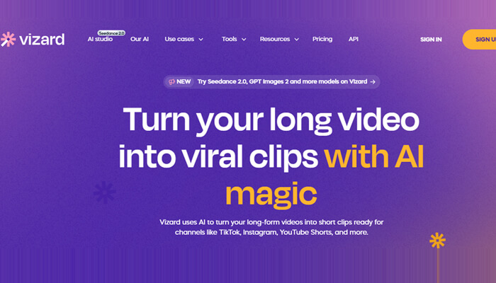 Vizard | tycoonstory media Vizard