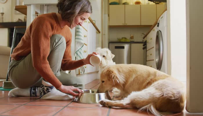 Daily activity may benefit from nutritional support | tycoonstory media Daily activity may benefit from nutritional support