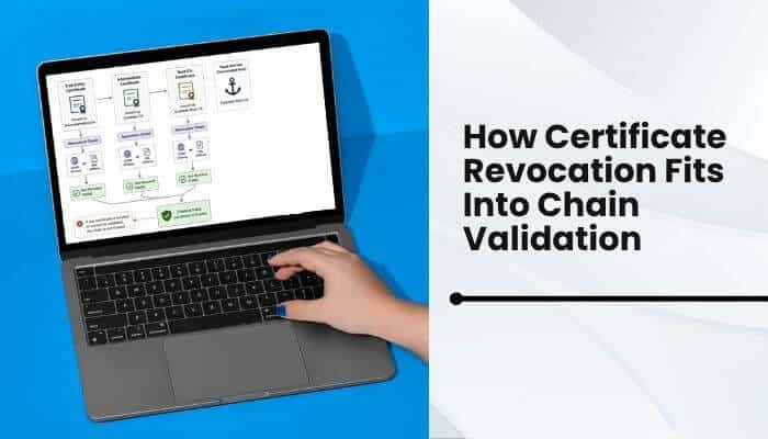 How certificate revocation fits into chain validation 1 | tycoonstory media What is an ssl certificate chain illustrated through certificate revocation and chain validation process on a laptop screen during https security verification.