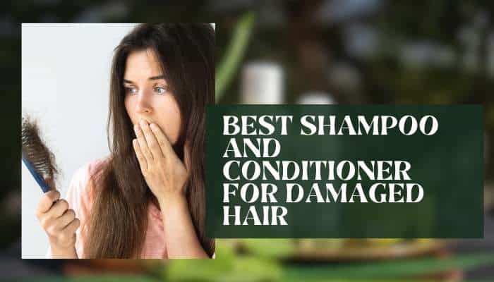 Shampoo and conditioner 1 | tycoonstory media Best shampoo and conditioner recommendations for damaged hair, featuring nourishing formulas that help strengthen and repair weakened strands.