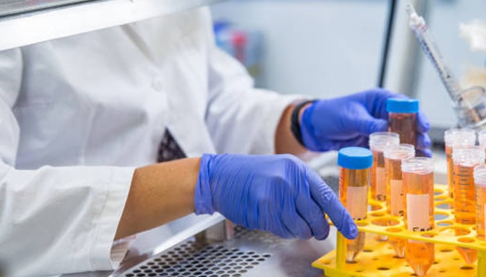 Biological safety cabinet | tycoonstory media Scientist working inside a biological safety cabinet handling lab samples with pipettes and test tubes for safe research procedures.