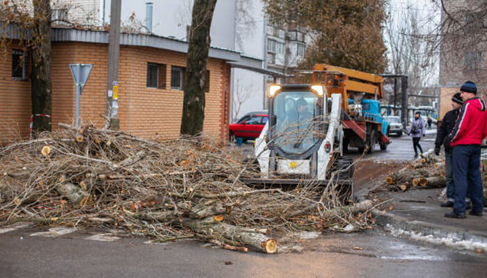 Handling debris cleanup and waste disposal | tycoonstory media Handling debris cleanup and waste disposal