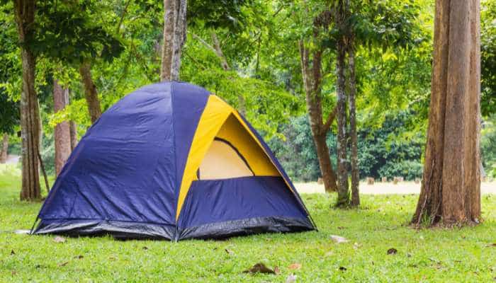 Camping in all-weather roof tents 1 | tycoonstory media Blue and yellow dome tent pitched on grassy forest clearing among trees in a sunlit parky setting.