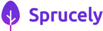 Sprucely. Io | tycoonstory media Sprucely. Io
