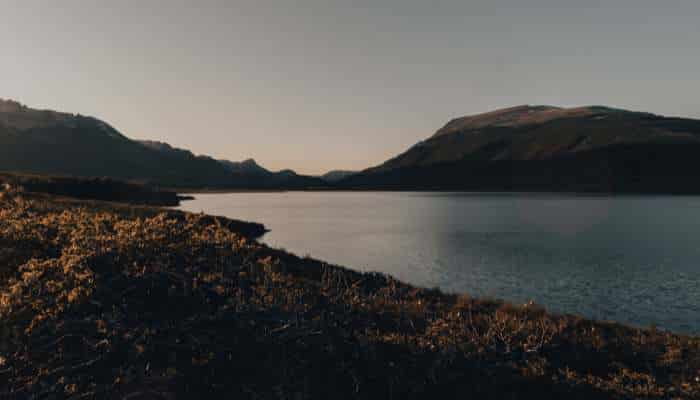 Strategic renewal through novel environments | tycoonstory media Calm lake at dusk, with a sunlit, rocky shoreline in the foreground and distant hills.