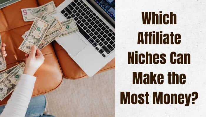 Which affiliate niches can make the most money 1 | tycoonstory media Affiliate marketing how much can you make by choosing profitable affiliate niches with high earning potential
