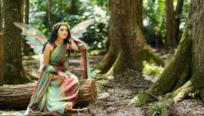 A midsummer nights dream william shakespeare - tycoonstory | tycoonstory media Public domain plays inspired by shakespeare’s a midsummer night’s dream, featuring a fairy character with wings seated in an enchanted woodland setting.