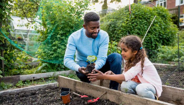 The modern speed demon of planting | tycoonstory media The modern speed demon of planting