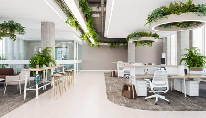 Biophilic design and employee well-being | tycoonstory media Biophilic design and employee well-being