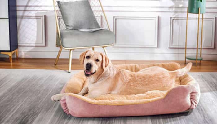 A bed can be too soft to feel comfortable | tycoonstory media A bed can be too soft to feel comfortable