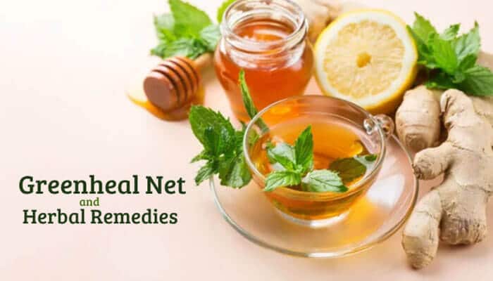 Greenheal net and herbal remedies - tycoonstory | tycoonstory media Greenheal net herbal remedies guide featuring natural ingredients like ginger, honey, lemon, mint, and herbal tea representing traditional wellness practices, plant-based health solutions, and natural healing information