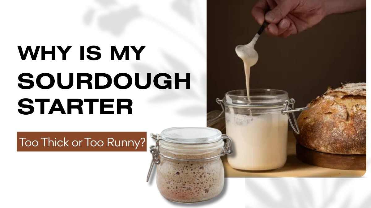 How to make sourdough starter - tycoonstory | tycoonstory media How to make sourdough starter guide showing thick and runny sourdough starter textures, fermentation jars, and freshly baked bread.
