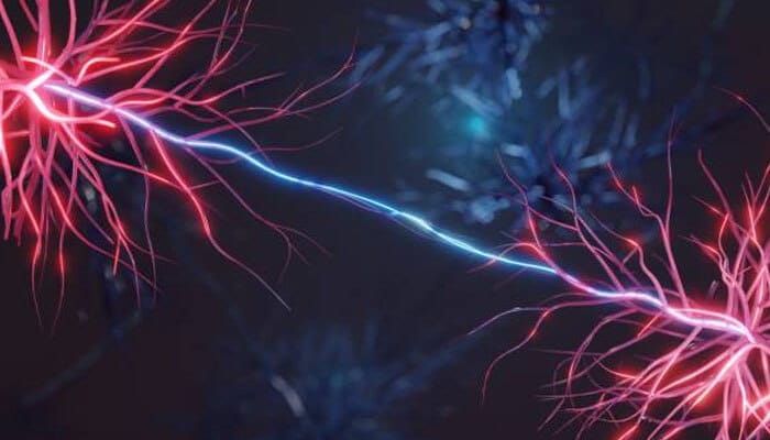Re-wiring through neuroplasticity | tycoonstory media Re-wiring through neuroplasticity