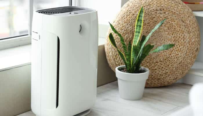 Why did my levoit air purifier red light turn on early - tycoonstory | tycoonstory media Levoit air purifier red light troubleshooting setup featuring a white air purifier beside a houseplant near a bright living-room window.