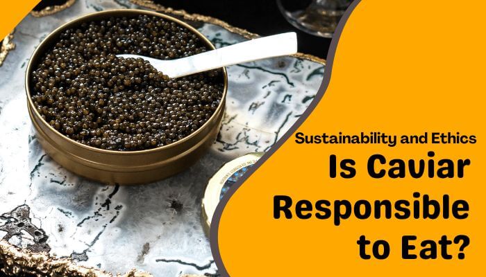 Why is caviar so expensive - tycoonstory | tycoonstory media Why is caviar so expensive – a bowl of premium black caviar with a serving spoon, highlighting sustainability and ethical concerns around caviar production.