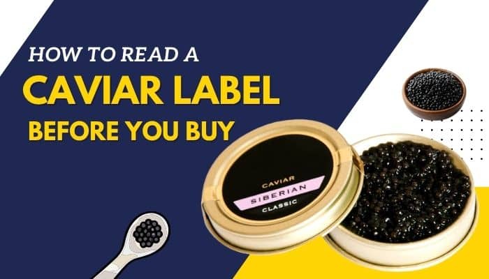 Why is caviar so expensive - tycoonstory | tycoonstory media Why is caviar so expensive – premium siberian caviar in an open tin beside a graphic explaining how to read a caviar label before buying.