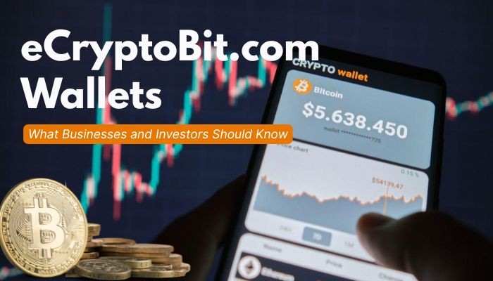 eCryptoBit.com Wallets 2026: Business Security & Risk Guide