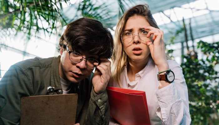 How do people find out what went wrong? | tycoonstory media Two students in a bright greenhouse-like space study a document, looking surprised while adjusting their glasses (one with a clipboard, the other with a red folder).