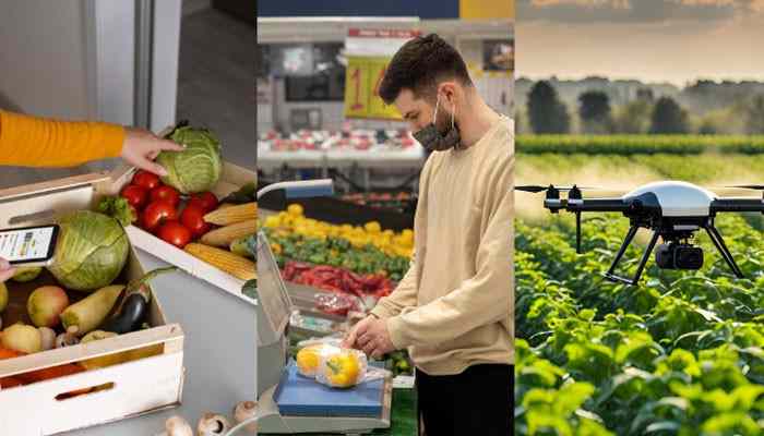 How technology helps at each stage of the food system - tycoonstory | tycoonstory media How to reduce food waste with technology through smart inventory tracking, data-driven retail management, and precision agriculture tools that help monitor produce across the food supply chain.